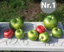Silikon - Gießform - Apfel - Obst - Paradiesfrucht - Nr.1 - vielfältig nutzbar