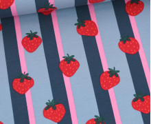 Jersey - Fruits - Erdbeeren - Taubenblau