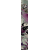 IndigoJunglePink