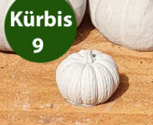 Silikon - Gießform - Kleiner Kürbis - Dekokürbis - Kürbis 9 - vielfältig nutzbar