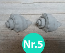 Silikon - Gießform - Muschel - Maritim - Fechterschnecke - Nr.5 - vielfältig nutzbar