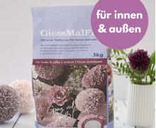 5Kg GiessMalFix - Gießpulver - für innen und außen - Beutel