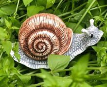 Silikon - Gießform - Weinbergschnecke - vielfältig nutzbar
