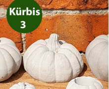 Silikon - Gießform - Kleiner Kürbis - Dekokürbis - Kürbis 3 - vielfältig nutzbar