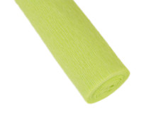Floristenkrepp - Blumenkrepp - Krepppapier - 1 Rolle - 50cm x 250cm - uni - Blassgrün