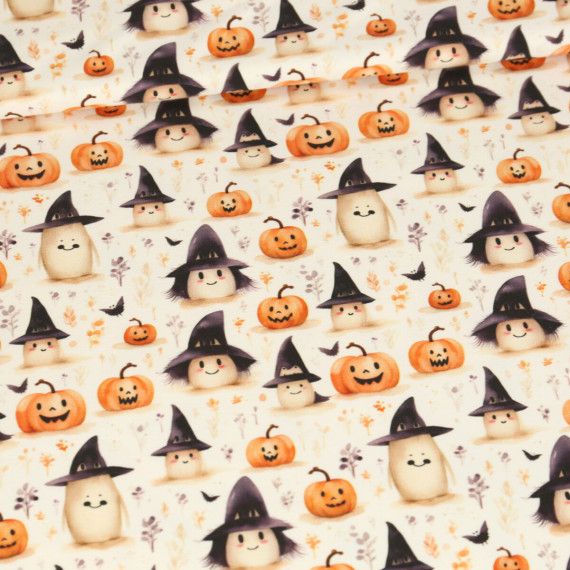 Sommersweat Gespensterstunde Hexenhut Offwhite Bio