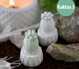 Silikon - Gießform - Mini Kaktus - mit Blumentopf-Sockel - Kaktus 3 - vielfältig nutzbar