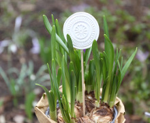 Silikon - Gießform - Blumenstecker - Anhänger - Deko - Muster - Nr. 18 - vielfältig nutzbar