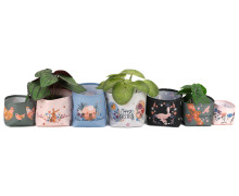 DIY-Nähset - Blumentopf - Utensilo - Ostergrüße - abby and amy