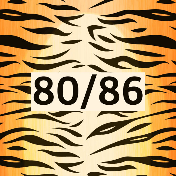 DIY-Nähset Kleidchen - Tiger - Größe 80/86 - Softshell - Fasching - Karneval - Kostüm - zum selber Nähen - abby and amy