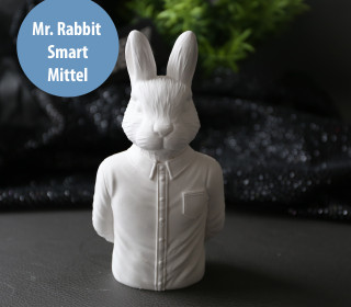 Silikon - Gießform - Mr. Rabbit - Smart - Hase mit Hemd - Dekohase - Mittel - vielfältig nutzbar
