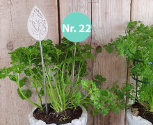 Silikon - Gießform - Blumenstecker - Anhänger - Deko - Muster - Nr. 22 - vielfältig nutzbar