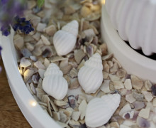 Silikon - Gießform - Mini Muscheln & Seestern - Maritim - Muscheln 3 - vielfältig nutzbar