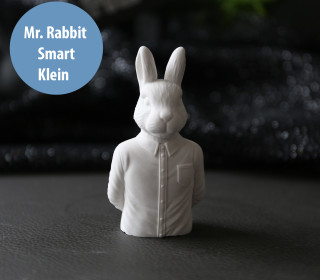 Silikon - Gießform - Mr. Rabbit - Smart - Hase mit Hemd - Dekohase - Klein - vielfältig nutzbar