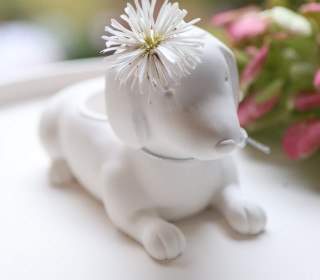 Silikon - Gießform - Dackel - Teelichthalter - Hund - vielfältig nutzbar