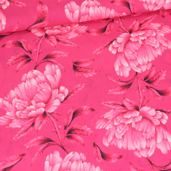 Tislin - Pfingstrosen - Pink - Elisabeth Cölfen - abby and amy