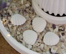 Silikon - Gießform - Mini Muscheln & Seestern - Maritim - Muscheln 2 - vielfältig nutzbar
