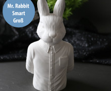 Silikon - Gießform - Mr. Rabbit - Smart - Hase mit Hemd - Dekohase - Groß - vielfältig nutzbar