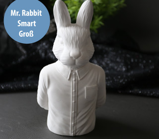 Silikon - Gießform - Mr. Rabbit - Smart - Hase mit Hemd - Dekohase - Groß - vielfältig nutzbar