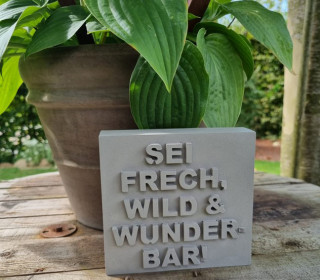 Silikon - Gießform - Dekoschild - SEI FRECH, WILD & WUNDERBAR! - vielfältig nutzbar