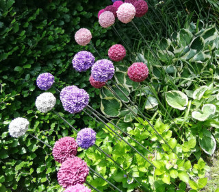 Silikon - Gießform - Blumenkugel - Allium/Zierlauch - Blüte - vielfältig nutzbar