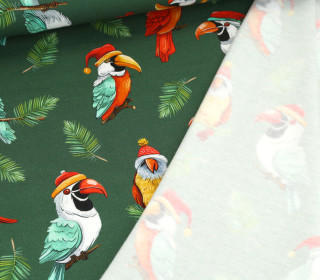 Leichter Kuschelsweat - Weihnachtsvögel - Dunkelgrün