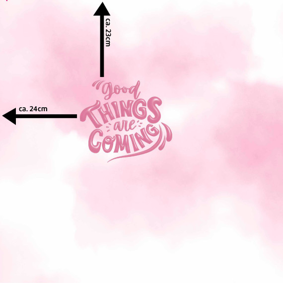Sommersweat - Good Things Are Coming - Batik - Rosa - Pink - Paneel - Weiß - Bio Qualität - abby and me