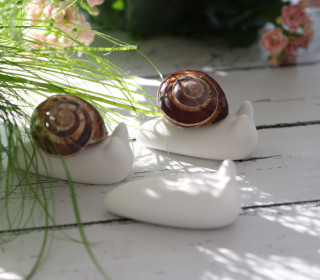 Silikon - Gießform - Schnecke - Schneckenkörper - Dekoschnecke - Klein - vielfältig nutzbar