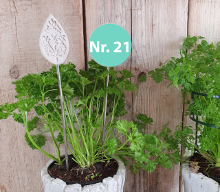 Silikon - Gießform - Blumenstecker - Anhänger - Deko - Muster - Nr. 21 - vielfältig nutzbar