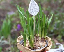 Silikon - Gießform - Blumenstecker - Anhänger - Deko - Muster - Nr. 20 - vielfältig nutzbar