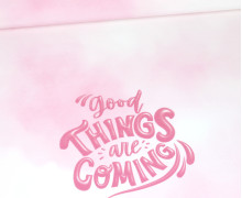 Sommersweat - Good Things Are Coming - Batik - Rosa - Pink - Paneel - Weiß - Bio Qualität - abby and me