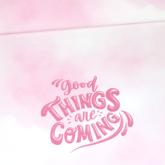 Sommersweat - Good Things Are Coming - Batik - Rosa - Pink - Paneel - Weiß - Bio Qualität - abby and me