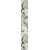 Eukalyptus