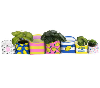 DIY-Nähset - Blumentopf - Utensilo - Summer Vibes - studio.mARTinchen - abby and amy