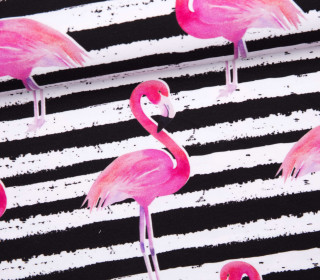 Jersey - Bio Qualität - Summer Stripes - Flamingo Stripes - weiß - abby and me