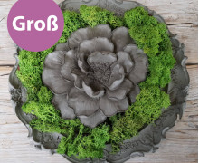 Silikon - Gießform - Wildrose - Blüte - aufgeblüht - Groß - vielfältig nutzbar