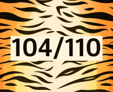 DIY-Nähset Kleidchen - Tiger - Größe 104/110 - Softshell - Fasching - Karneval - Kostüm - zum selber Nähen - abby and amy