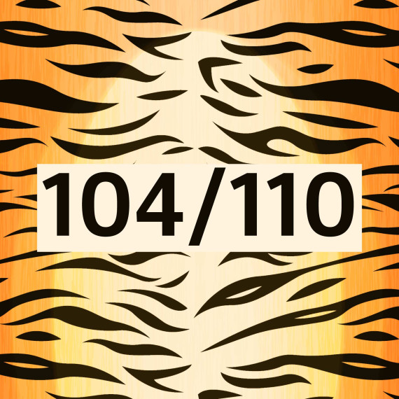 DIY-Nähset Kleidchen - Tiger - Größe 104/110 - Softshell - Fasching - Karneval - Kostüm - zum selber Nähen - abby and amy