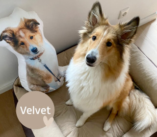 Dein eigenes Formkissen - Fotokissen - Velvet