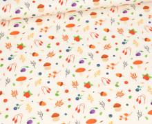 Jersey - Herbst-Minis - Ecru - Bio Qualität - abby and me