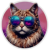 Katzen03