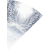 nein_Schneewolf