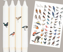 DIN A4 - Tattoofolie - Vogelfreunde - für Kerzen / Keramik