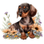 Zwergdackel
