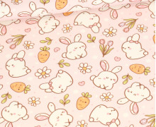 Sommersweat - Carrot Kisses - Rosa - Bio Qualität - abby and me