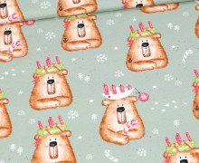 Sommersweat - Wunderbärige Weihnacht - Weihnachtsbären - Kombistoff - Lichtgrün - Bio Qualität - Treeebird - abby and me