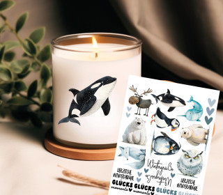 Rub-On Sticker - Arktische Freunde - Tante Henni Rub-Ons - vielfältig nutzbar