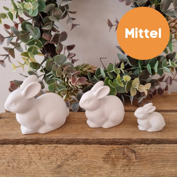 Silikon - Gießform - Hoppelhase - Mittel - vielfältig nutzbar
