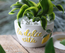Silikon - Gießform - Dekoschale - Pflanzschale - La Dolce Vita - Zitrone - vielfältig nutzbar