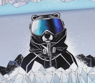 Sommersweat - Paneel - Snowboard Bear - Winter - Graublau Meliert - Thorsten Berger - abby and me